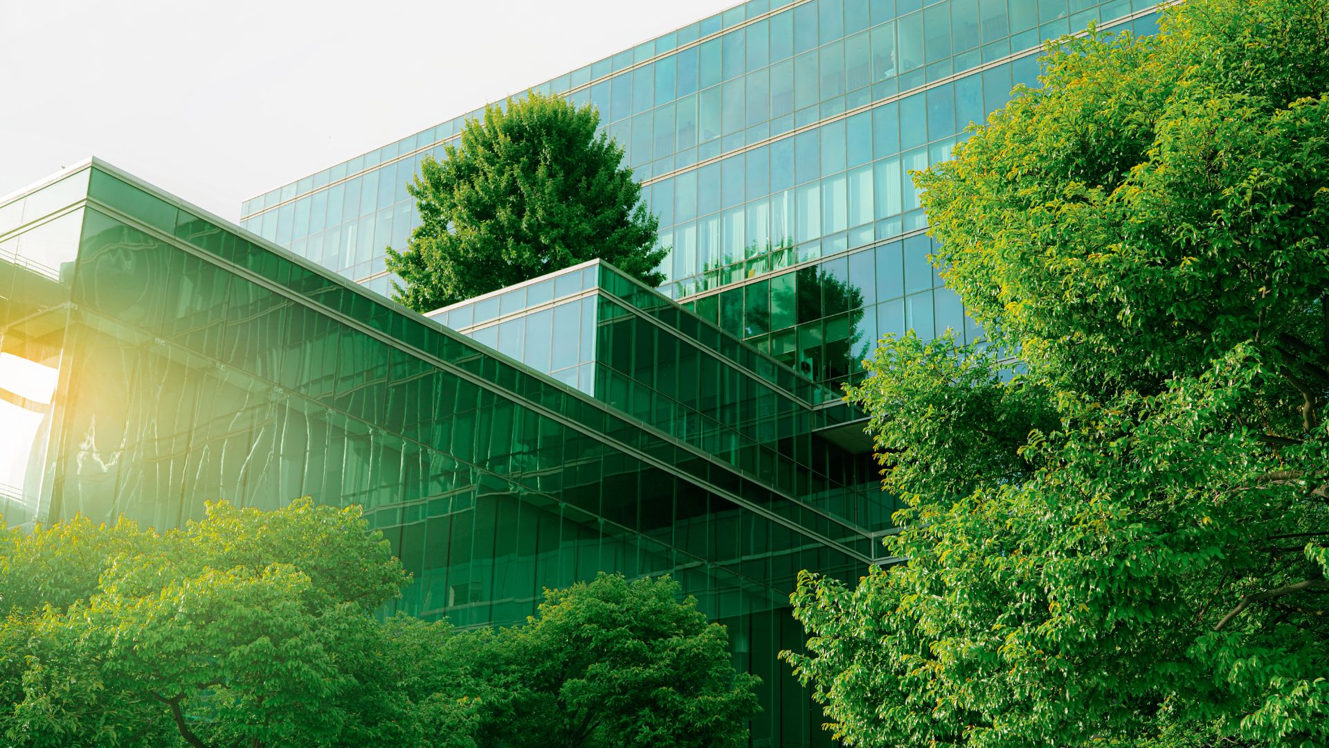 commercial building with trees